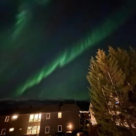Winter Wonderland Tromsø